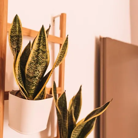 Apartament Charmelise La Spezia