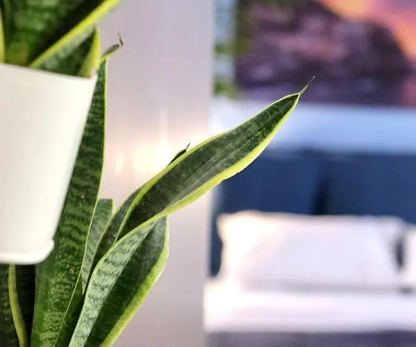 Charmelise Apartment *