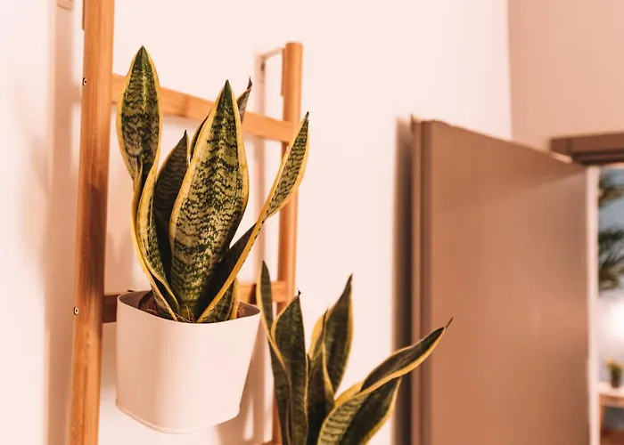 Appartement Charmelisè La Spezia